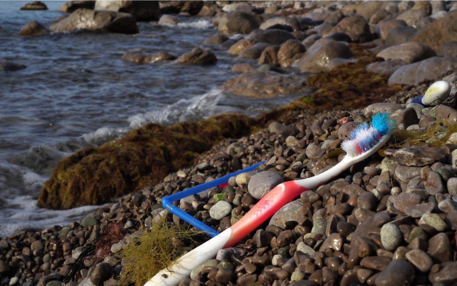 Disposable toothbrush on the shore